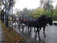 Imagine atasata: Oktoberfest - 2014.10.16 - 04.jpg